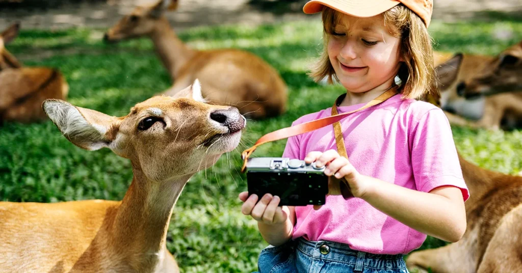 animals that start with d